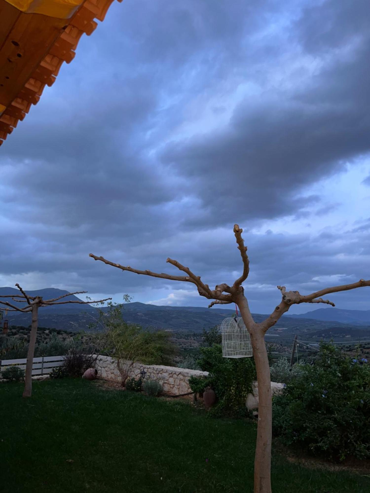 "Shinohori" Olive-Tree Apartment Άργος Εξωτερικό φωτογραφία